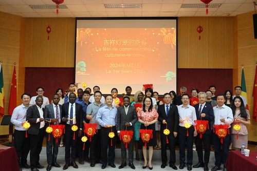 布拉柴维尔灯笼夜 中非文化交融的绚丽篇章